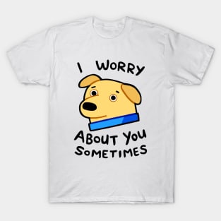 I worry about you sometimes. T-Shirt